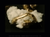 Krista-Nassi-Golden Dreams-5
